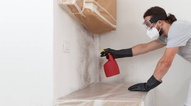 Professional Basement Mold Remediation technician working in Midland, NC