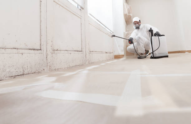 24/7 Emergency Basement Mold Remediation experts in Midland, NC
